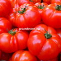 Tomatensalat bei Diabetes mellitus